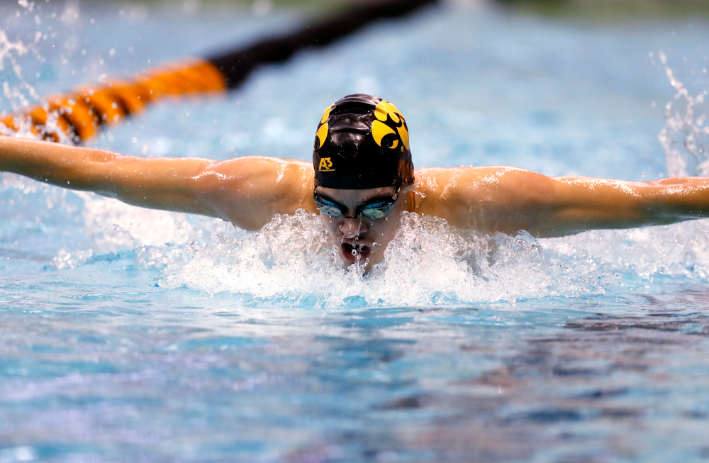 Matjaz Rozman swims the 100 yard butterfly during the Black and Gold Intrasquad Saturday, September 29, 2018 at the Campus Recreation and Wellness Center. (Brian Ray/hawkeyesports.com)