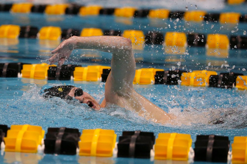 Iowa's B team at the 1,650-yard freestyle race Saturday, March 2, 2019 at the Campus Recreation and Wellness Center. (Lily Smith/hawkeyesports.com)