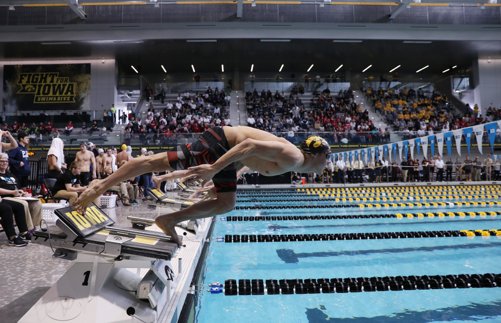 Iowa's Caleb Babb swims in the preliminaries of the 50-yard freestyle during the 2019 Big Ten Swimming and Diving Championships Thursday, February 28, 2019 at the Campus Wellness and Recreation Center. (Brian Ray/hawkeyesports.com)