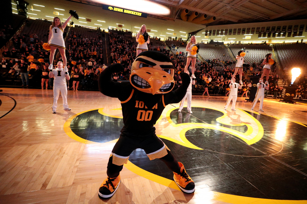 Herky The Hawk before the Iowa Hawkeyes game against Clemson Wednesday, December 4, 2019 at Carver-Hawkeye Arena. (Brian Ray/hawkeyesports.com)