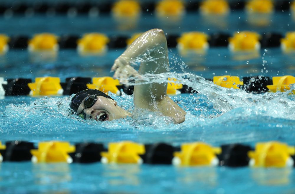 Iowa's Hannah Burvill swims the 500 Yard Freestyle Thursday, November 15, 2018 during the 2018 Hawkeye Invitational at the Campus Recreation and Wellness Center. (Brian Ray/hawkeyesports.com)