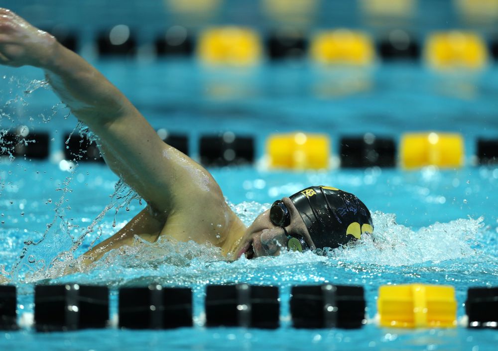 Iowa's Michael Tenney swims the 500 yard freestyle Thursday, November 15, 2018 during the 2018 Hawkeye Invitational at the Campus Recreation and Wellness Center. (Brian Ray/hawkeyesports.com)