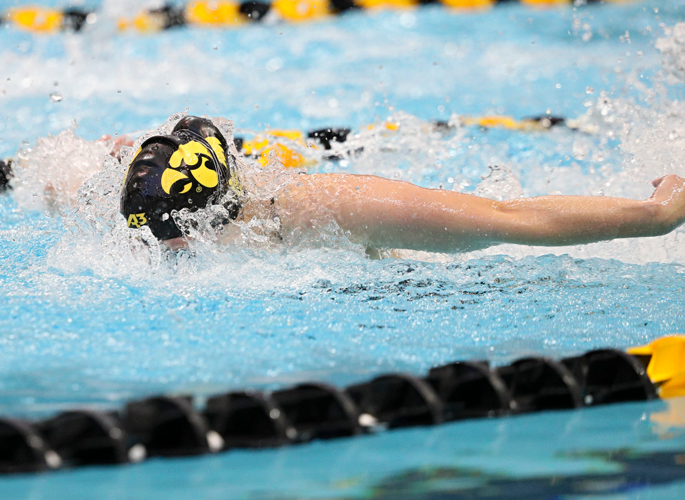 Iowa’s Kelsey Drake swims the butterfly section of the women’s 200-yard medley relay event during their meet against Michigan State and Northern Iowa at the Campus Recreation and Wellness Center in Iowa City on Friday, Oct 4, 2019. (Stephen Mally/hawkeyesports.com)