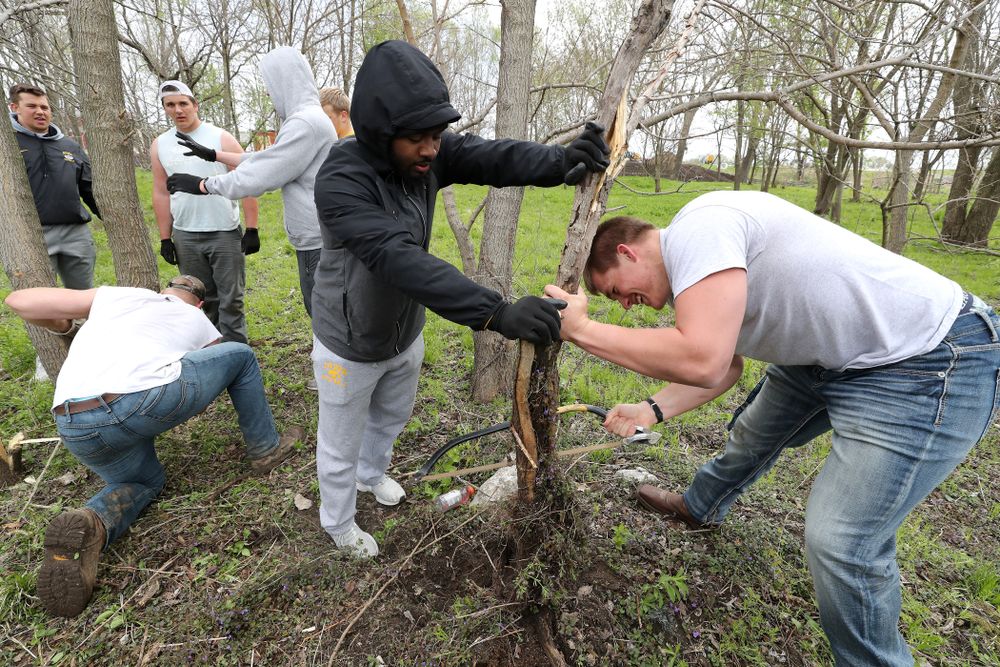 Members of the Hawkeye Football team volunteer with the Iowa City Public Works department along the Iowa River during the annual Iowa Athletics Day of Caring Sunday, April 28, 2019 in Iowa City. (Brian Ray/hawkeyesports.com)