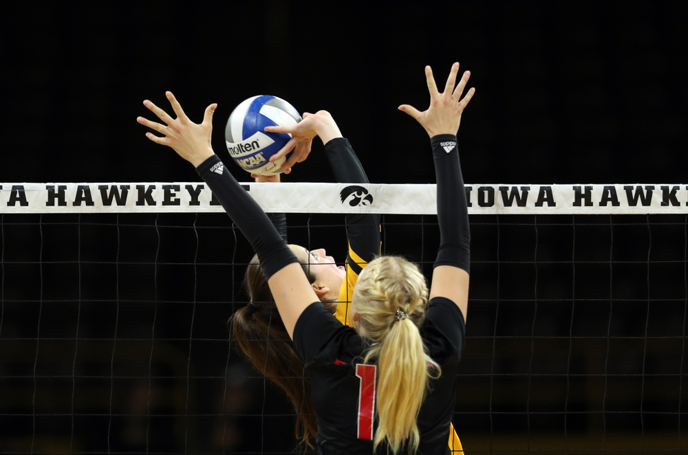 Iowa Hawkeyes setter Courtney Buzzerio (2) against the Rutgers Scarlet Knights Saturday, November 2, 2019 at Carver-Hawkeye Arena. (Brian Ray/hawkeyesports.com)