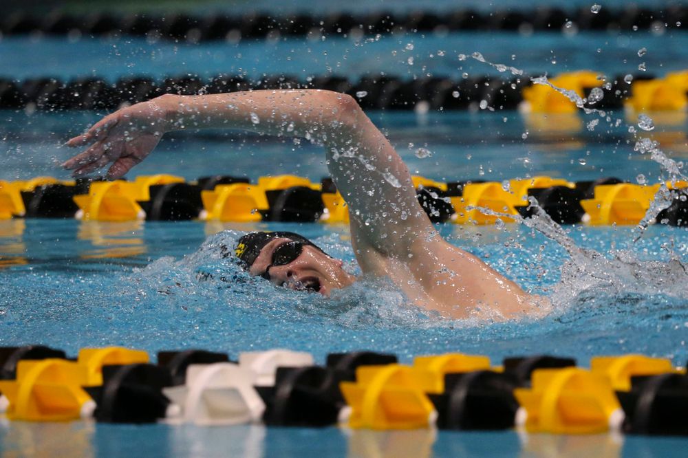 Iowa's B team at the 1,650-yard freestyle race Saturday, March 2, 2019 at the Campus Recreation and Wellness Center. (Lily Smith/hawkeyesports.com)