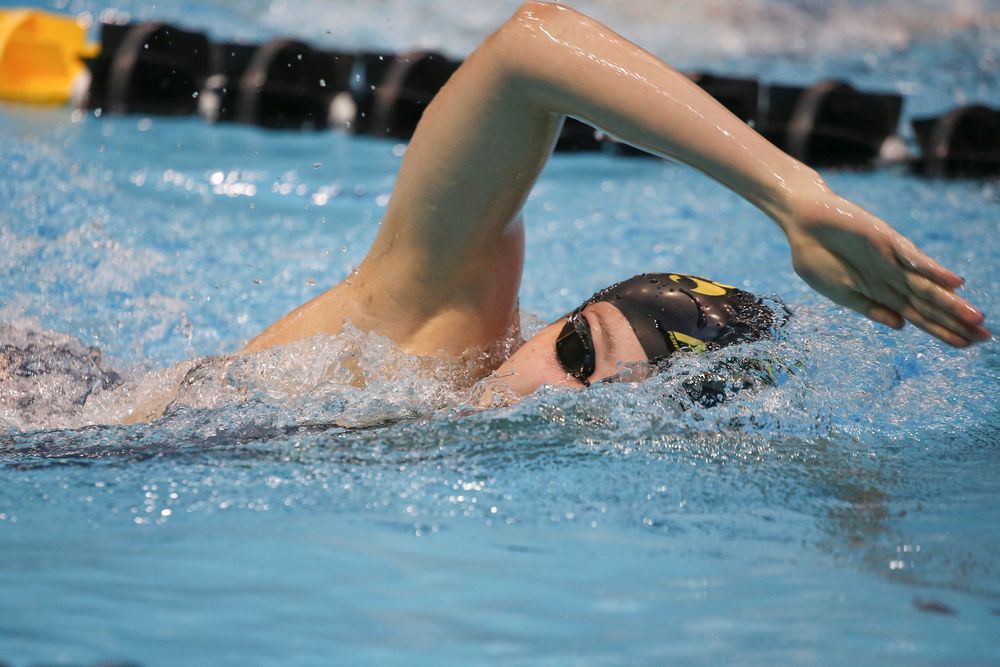 Iowa’s Emilia Sansome swims the 1000-yard freestyle during the Iowa swimming and diving meet vs Notre Dame and Illinois on Saturday, January 11, 2020 at the Campus Recreation and Wellness Center. (Lily Smith/hawkeyesports.com)