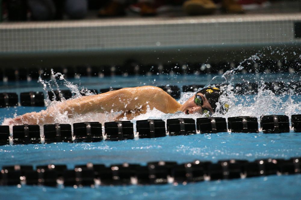 The Iowa A team competes in the 800-yard freestyle relay at the 2019 Big Ten Swimming and Diving meet Wednesday, February 27, 2019 at the Campus Wellness and Recreation Center. (Lily Smith/hawkeyesports.com)