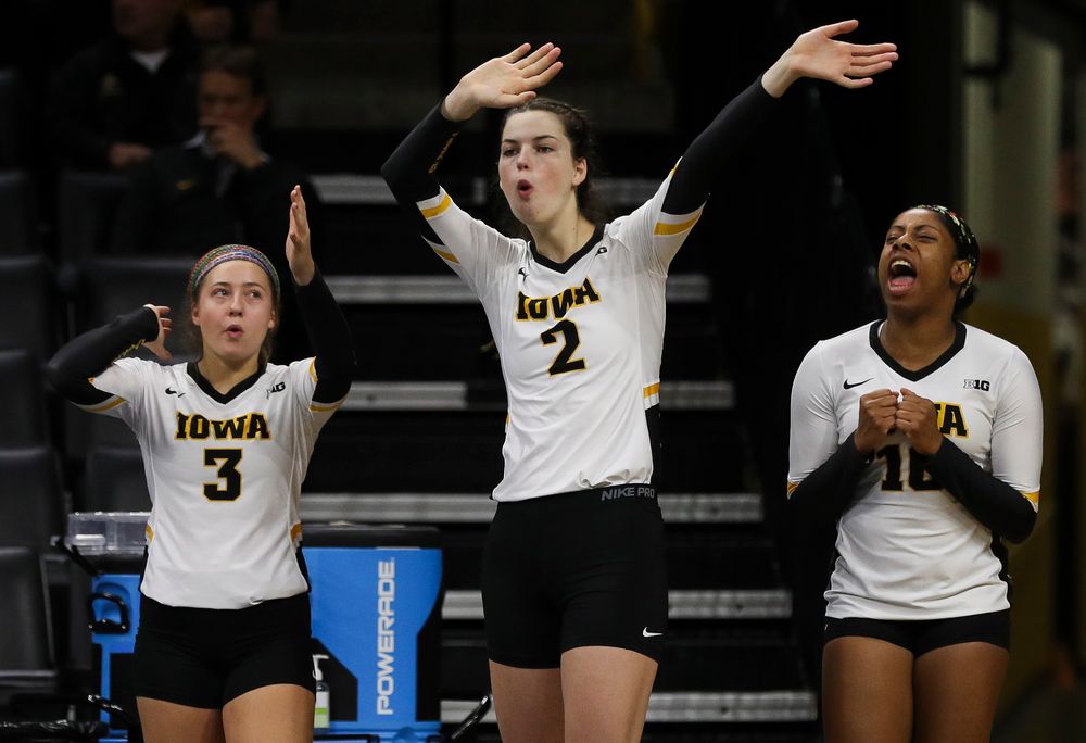 Iowa Hawkeyes defensive specialist Maddie Hine (3), Iowa Hawkeyes setter Courtney Buzzerio (2) and Iowa Hawkeyes outside hitter Griere Hughes (10) react after an ace during a match against Nebraska at Carver-Hawkeye Arena on November 7, 2018. (Tork Mason/hawkeyesports.com)