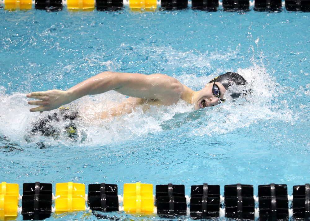 The Iowa A team swims the 200-yard medley relay at the 2019 Big Ten Swimming and Diving meet Wednesday, February 27, 2019 at the Campus Wellness and Recreation Center. (Brian Ray/hawkeyesports.com)