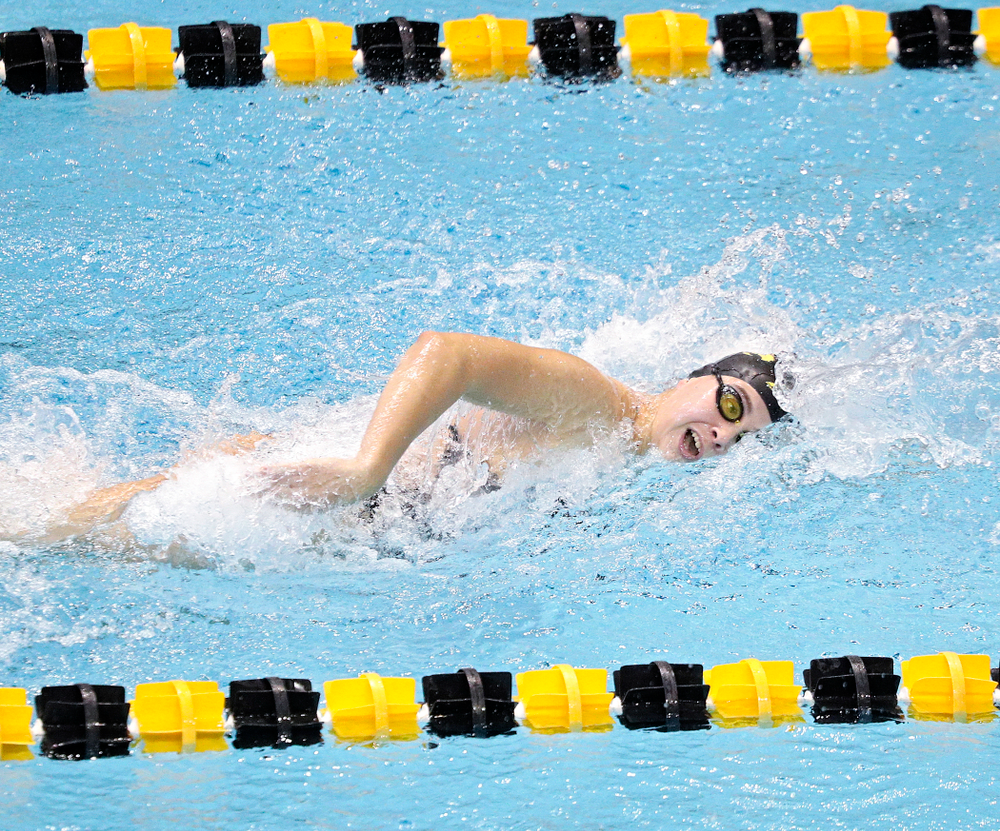 Iowa’s Maddie Ziegert swims the women’s 100-yard freestyle event during their meet against Michigan State and Northern Iowa at the Campus Recreation and Wellness Center in Iowa City on Friday, Oct 4, 2019. (Stephen Mally/hawkeyesports.com)