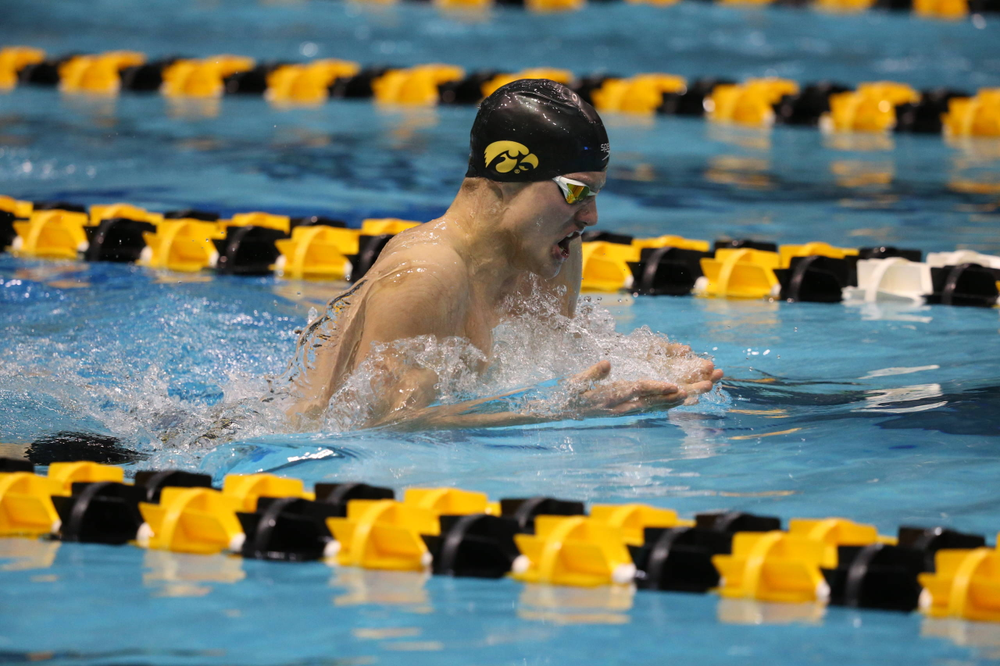Iowa's Anze Fers Erzan at the 400-yard medley race Friday, March 1, 2019 at the Campus Recreation and Wellness Center. (Lily Smith/hawkeyesports.com)