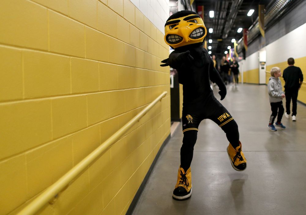Herky the Hawk before the Iowa Hawkeyes meet against Penn State Friday, January 31, 2020 at Carver-Hawkeye Arena. (Brian Ray/hawkeyesports.com)