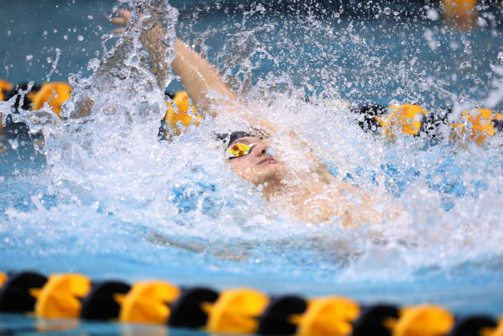Iowa's Anze Fers Erzen swims the backstroke leg of the 200 yard medley relay during a double dual against Wisconsin and Northwestern Saturday, January 19, 2019 at the Campus Recreation and Wellness Center. (Brian Ray/hawkeyesports.com)