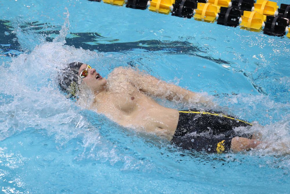 Iowa's Anze Fers Erzen competes in the 200-yard backstroke during the 2019 Big Ten Men's Swimming and Diving Championships Saturday, March 2, 2019 at the Campus Wellness and Recreation Center. (Brian Ray/hawkeyesports.com)