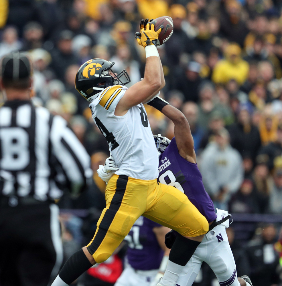 Iowa Hawkeyes tight end Sam LaPorta (84) against the Northwestern Wildcats Saturday, October 26, 2019 at Ryan Field in Evanston, Ill. (Brian Ray/hawkeyesports.com)
