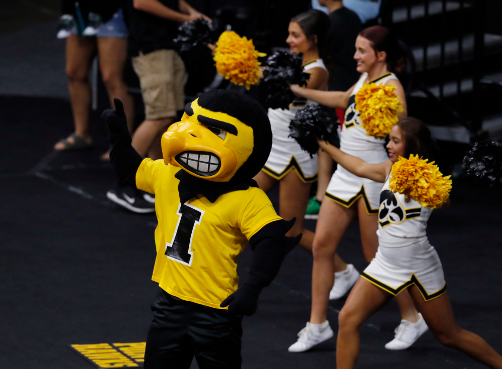 Herky the Hawk against Eastern Illinois Sunday, September 9, 2018 at Carver-Hawkeye Arena. (Brian Ray/hawkeyesports.com)