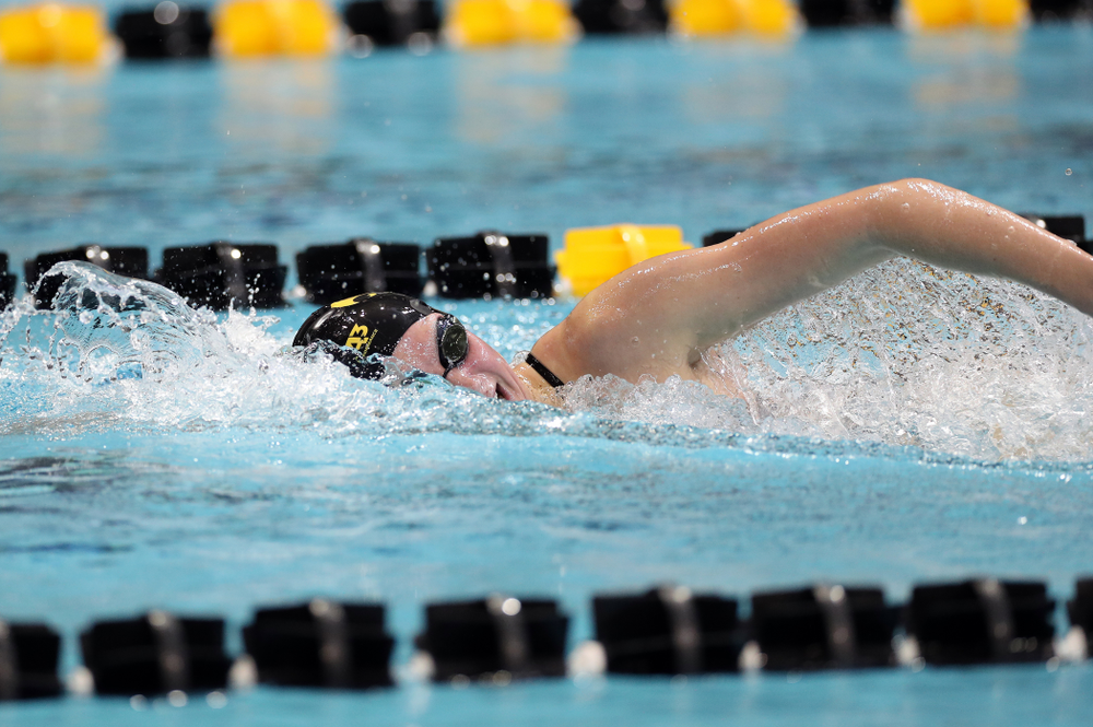 IowaÕs Anna Brooker swims the 1,000 yard freestyle agains the Michigan Wolverines Friday, November 1, 2019 at the Campus Recreation and Wellness Center. (Brian Ray/hawkeyesports.com)
