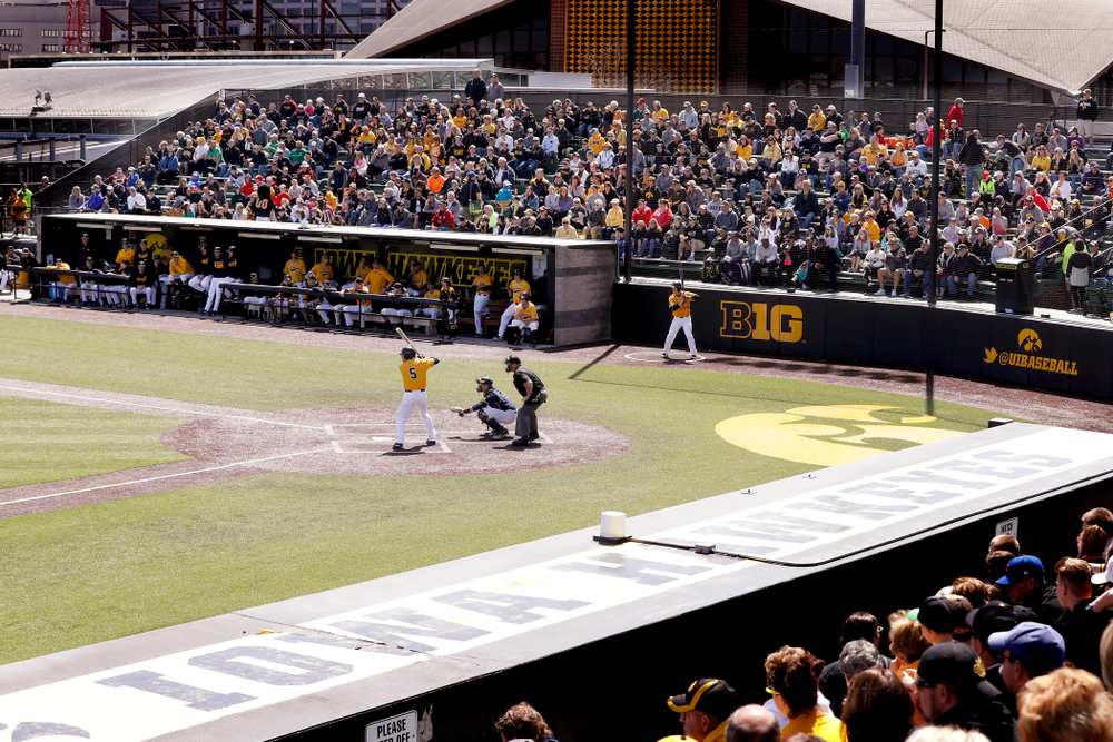 Iowa Hawkeyes catcher Tyler Cropley (5) against the Michigan Wolverines Sunday, April 29, 2018 at Duane Banks Field. (Brian Ray/hawkeyesports.com)