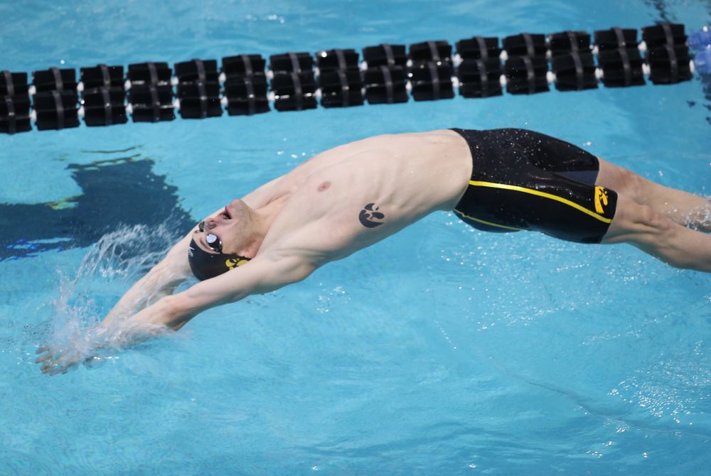 Iowa's Kenneth Mende competes in the 200-yard backstroke during the 2019 Big Ten Men's Swimming and Diving Championships Saturday, March 2, 2019 at the Campus Wellness and Recreation Center. (Brian Ray/hawkeyesports.com)