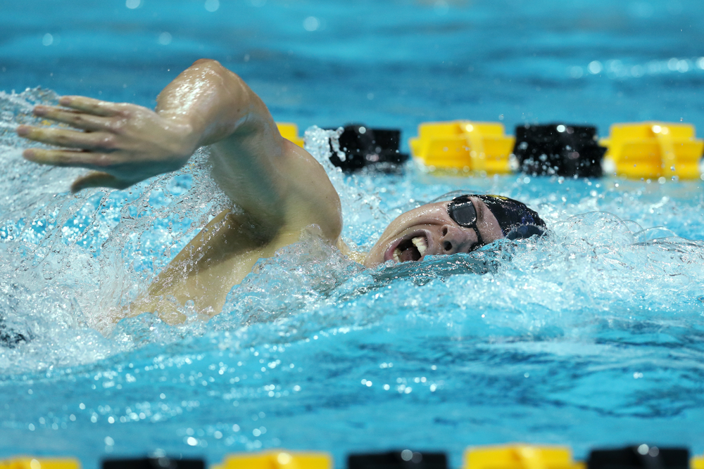 Iowa's Mateusz Arndt swims the 500 yard freestyle Thursday, November 15, 2018 during the 2018 Hawkeye Invitational at the Campus Recreation and Wellness Center. (Brian Ray/hawkeyesports.com)