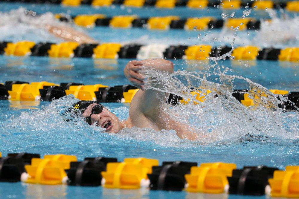 Iowa's B team at the 1,650-yard freestyle race Saturday, March 2, 2019 at the Campus Recreation and Wellness Center. (Lily Smith/hawkeyesports.com)