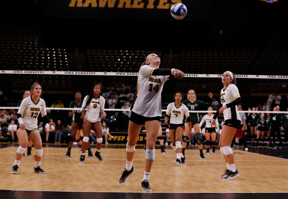 Iowa Hawkeyes outside hitter Cali Hoye (14) against the Michigan State Spartans Friday, September 21, 2018 at Carver-Hawkeye Arena. (Brian Ray/hawkeyesports.com)