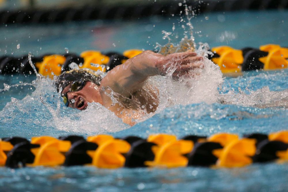 Iowa's Anze Fers Erzan team at the 200-yard backstroke race Saturday, March 2, 2019 at the Campus Recreation and Wellness Center. (Lily Smith/hawkeyesports.com)