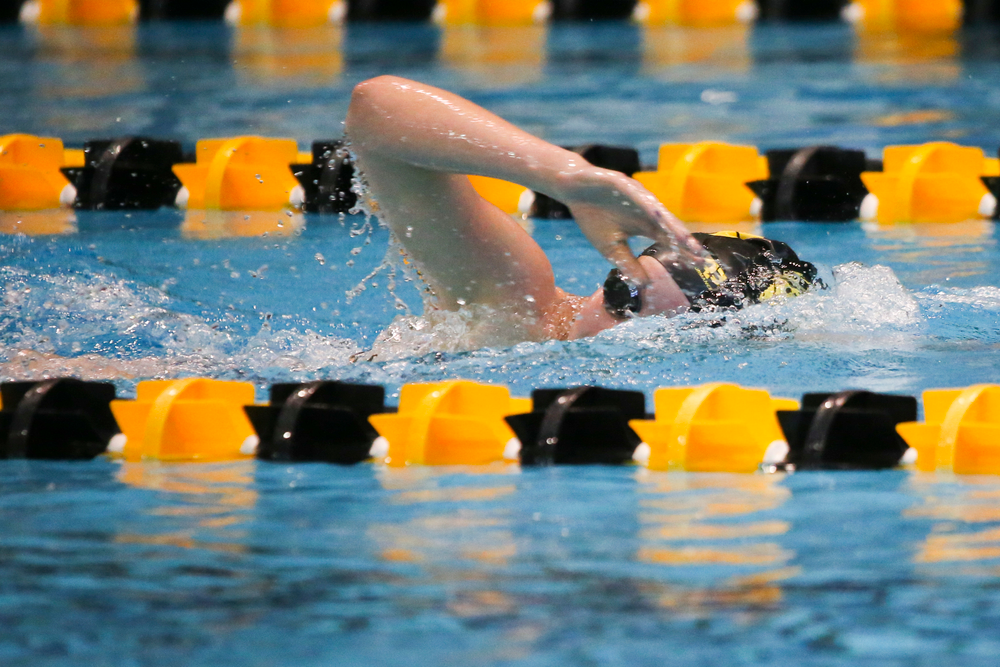 Taylor Hartley during Iowa women’s swimming and diving vs Rutgers on Friday, November 8, 2019 at the Campus Wellness and Recreation Center. (Lily Smith/hawkeyesports.com)