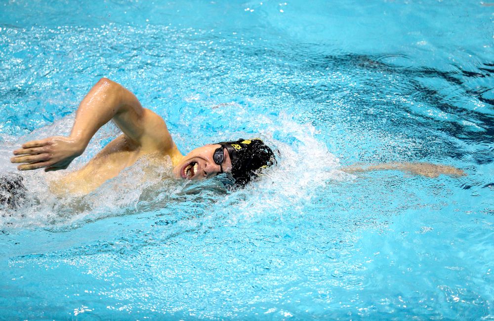 Iowa's Mateusz Arndt swims the 1000 yard freestyle during a double dual against Wisconsin and Northwestern Saturday, January 19, 2019 at the Campus Recreation and Wellness Center. (Brian Ray/hawkeyesports.com)