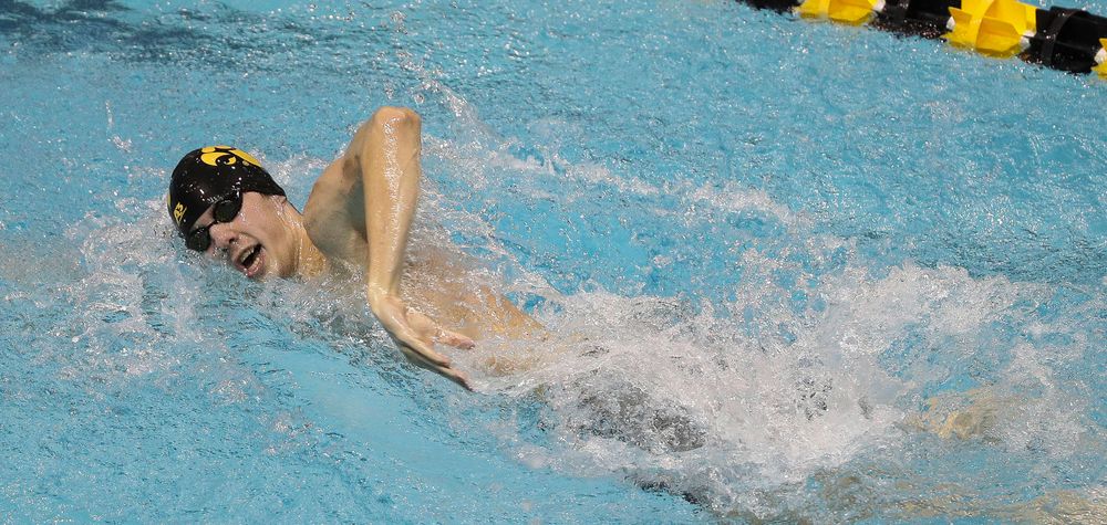 Iowa's Stjepan Fiolic competes in the 200-yard freestyle during the third day of the Hawkeye Invitational at the Campus Recreation and Wellness Center on November 16, 2018. (Tork Mason/hawkeyesports.com)