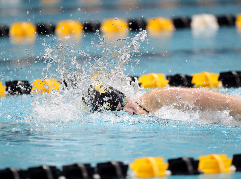 IowaÕs Erin Lang swims the 200 yard freestyle agains the Michigan Wolverines Friday, November 1, 2019 at the Campus Recreation and Wellness Center. (Brian Ray/hawkeyesports.com)