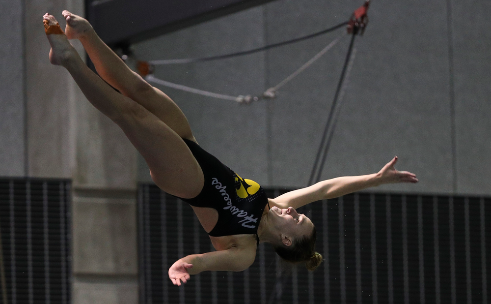 Iowa's Sam Tomborski competes in the 3-meter springboard competition during the third day of the Hawkeye Invitational at the Campus Recreation and Wellness Center on November 16, 2018. (Tork Mason/hawkeyesports.com)