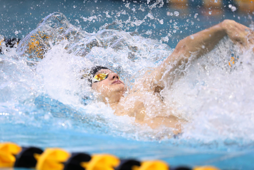 Iowa's Anze Fers Erzen swims the backstroke leg of the 200 yard medley relay during a double dual against Wisconsin and Northwestern Saturday, January 19, 2019 at the Campus Recreation and Wellness Center. (Brian Ray/hawkeyesports.com)