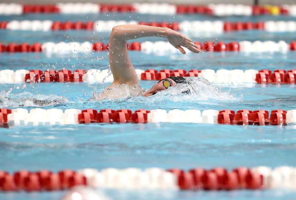 Iowa's Allyssa Fluit swims the 500-yard freestyle during the 2019 Women's Big Ten Swimming and Diving meet Thursday, February 21, 2019 in Bloomington, Indiana. (Brian Ray/hawkeyesports.com)