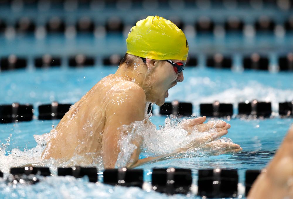 Anze Fers Erzen swims the 200 yard IM during the Black and Gold Intrasquad Saturday, September 29, 2018 at the Campus Recreation and Wellness Center. (Brian Ray/hawkeyesports.com)