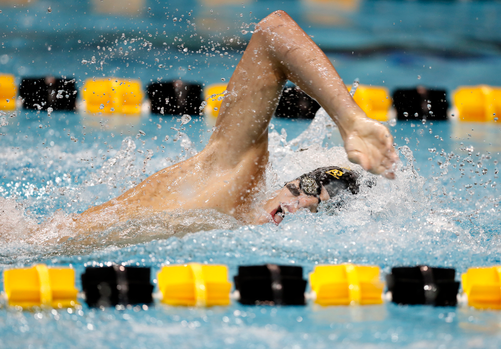 Andrew Fierke swims the 200 yard freestyle during the Black and Gold Intrasquad Saturday, September 29, 2018 at the Campus Recreation and Wellness Center. (Brian Ray/hawkeyesports.com)