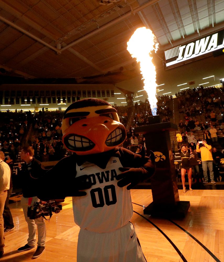 Herky The Hawk against the Maryland Terrapins Friday, January 10, 2020 at Carver-Hawkeye Arena. (Brian Ray/hawkeyesports.com)