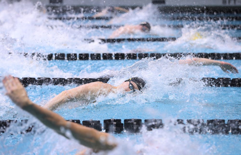 Iowa's Joseph Myhre competes in the 100-yard freestyle during the 2019 Big Ten Men's Swimming and Diving Championships Saturday, March 2, 2019 at the Campus Wellness and Recreation Center. (Brian Ray/hawkeyesports.com)