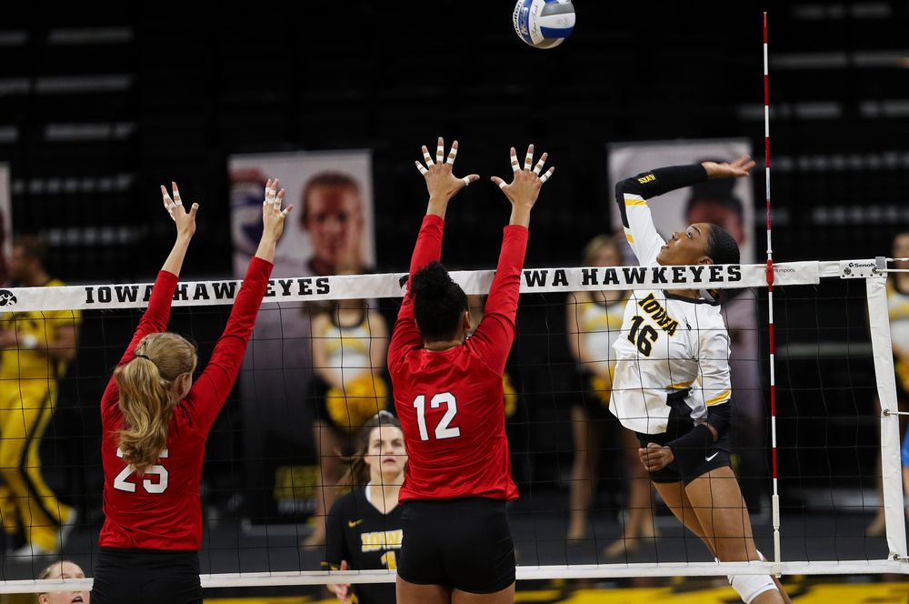 Iowa Hawkeyes outside hitter Taylor Louis (16) spikes the ball during a match against Nebraska at Carver-Hawkeye Arena on November 7, 2018. (Tork Mason/hawkeyesports.com)