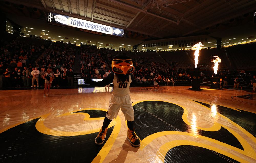 Herky The Hawk against the Michigan Wolverines Thursday, January 17, 2019 at Carver-Hawkeye Arena. (Brian Ray/hawkeyesports.com)