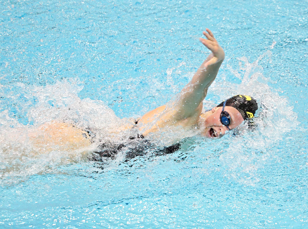 Iowa’s Ariel Wooden swims the women’s 100-yard freestyle event during their meet against Michigan State and Northern Iowa at the Campus Recreation and Wellness Center in Iowa City on Friday, Oct 4, 2019. (Stephen Mally/hawkeyesports.com)