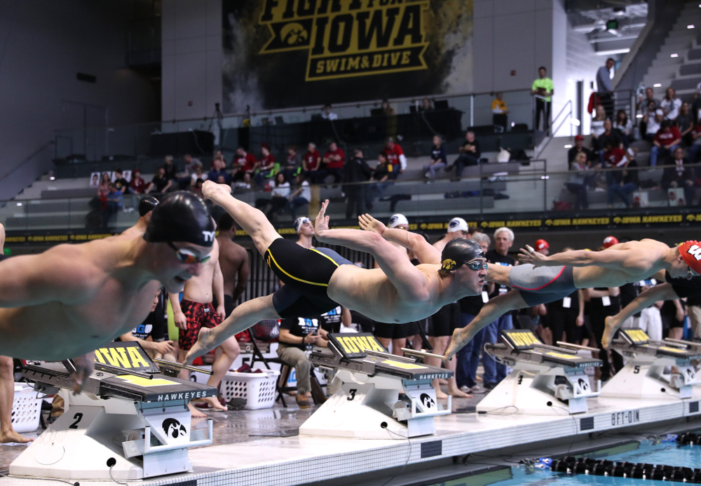 Iowa's Caleb Babb swims in the preliminaries of the 50-yard freestyle during the 2019 Big Ten Swimming and Diving Championships Thursday, February 28, 2019 at the Campus Wellness and Recreation Center. (Brian Ray/hawkeyesports.com)