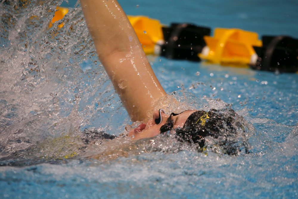 Hannah Burvill during Iowa women’s swimming and diving vs Rutgers on Friday, November 8, 2019 at the Campus Wellness and Recreation Center. (Lily Smith/hawkeyesports.com)