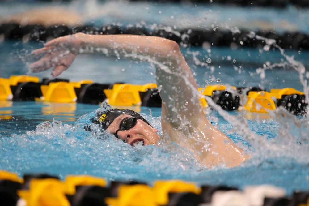 Iowa's B team at the 1,650-yard freestyle race Saturday, March 2, 2019 at the Campus Recreation and Wellness Center. (Lily Smith/hawkeyesports.com)