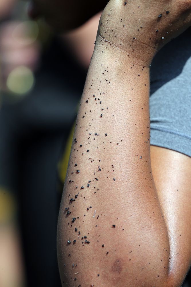 The Iowa WomenÕs Basketball Team participates in the The Program Tuesday, September 17, 2019 at Kinnick Stadium (Brian Ray/hawkeyesports.com)