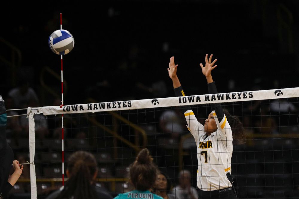Iowa Hawkeyes setter Brie Orr (7) against Coastal Carolina Friday, September 20, 2019 at Carver-Hawkeye Arena. (Lily Smith/hawkeyesports.com)