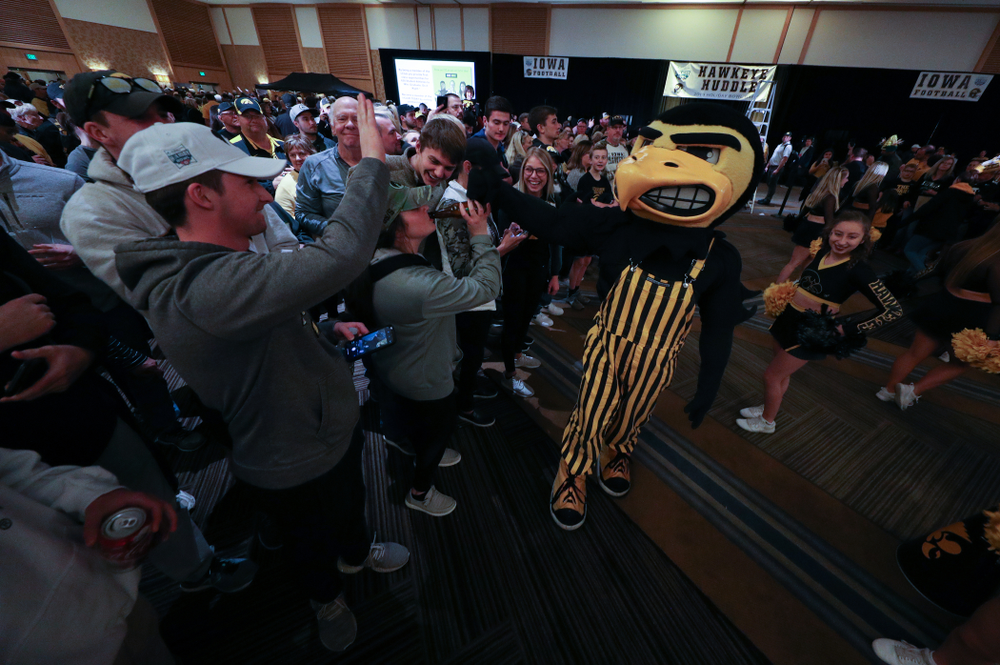 Herky The Hawk during the Holiday Bowl Hawkeye Huddle Thursday, December 26, 2019 at the Hilton in downtown San Diego. (Brian Ray/hawkeyesports.com)