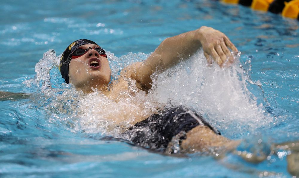 Iowa's Anze Fers Erzen competes in the 200-yard backstroke during the third day of the Hawkeye Invitational at the Campus Recreation and Wellness Center on November 17, 2018. (Tork Mason/hawkeyesports.com)
