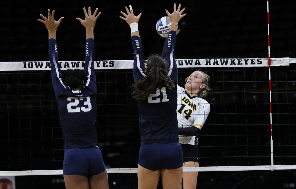 Iowa Hawkeyes outside hitter Cali Hoye (14) spikes the ball during a match against Penn State at Carver-Hawkeye Arena on November 3, 2018. (Tork Mason/hawkeyesports.com)